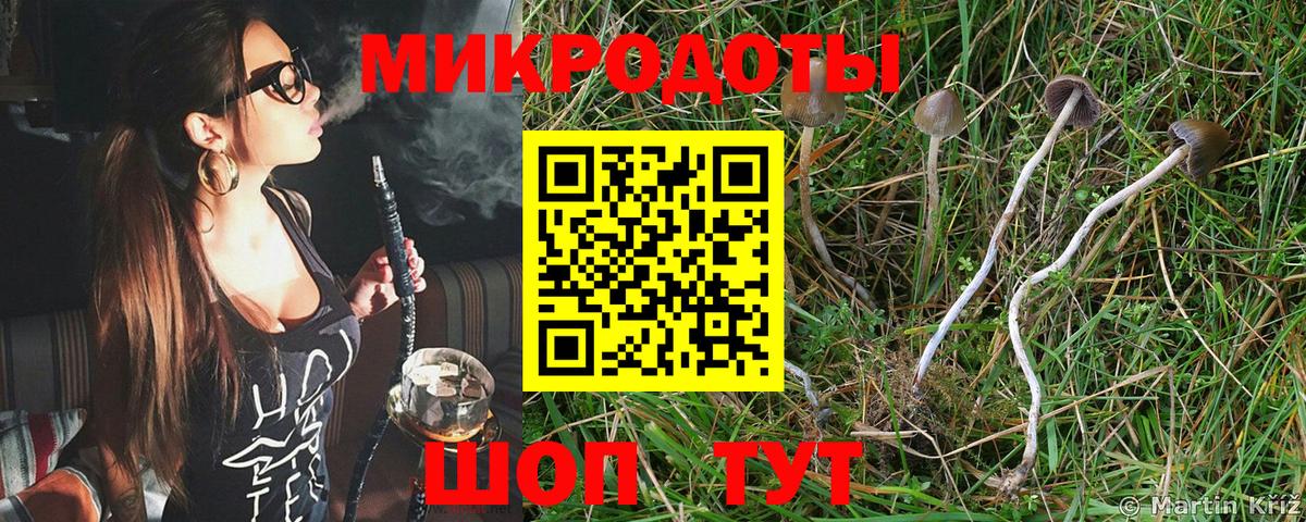 Галлюциногенные грибы Magic Shrooms Арсеньев